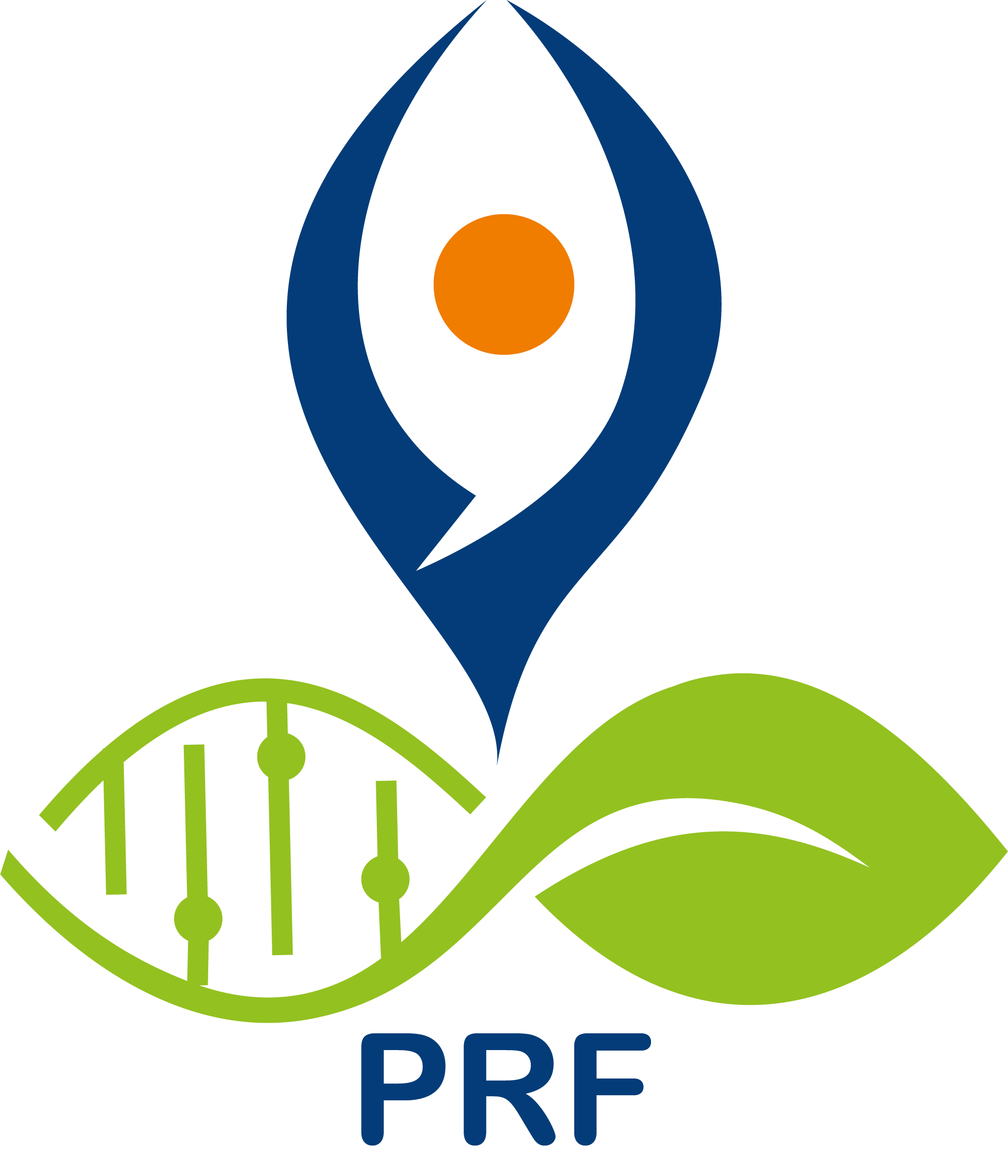logo.png