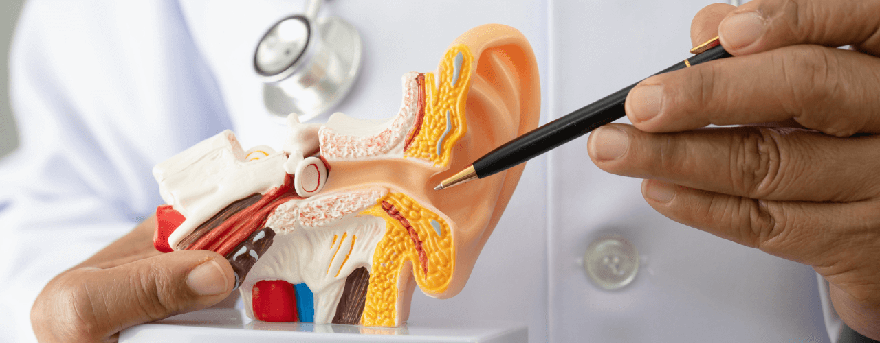 ENT (Ear, Nose & Throat)