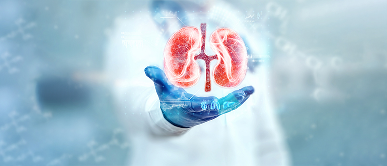Urology, Uro Cancer & Kidney Transplant
