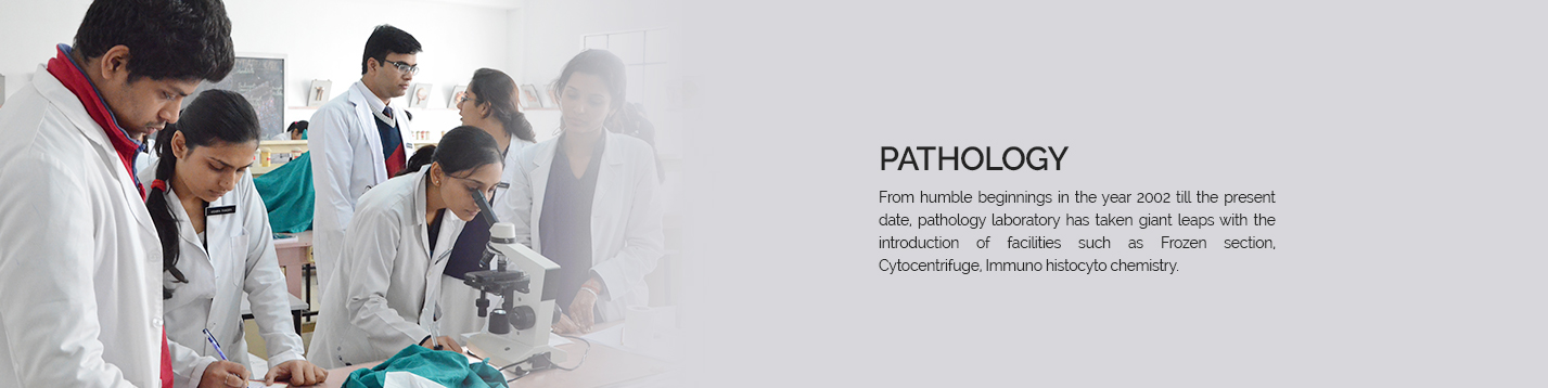 SRMSIMS Dental Sciences Department