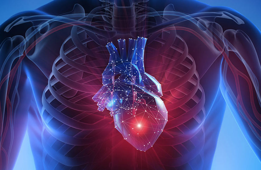 heart-vascular-thoracic-feature