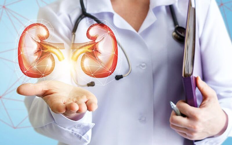 nephrology-800x500