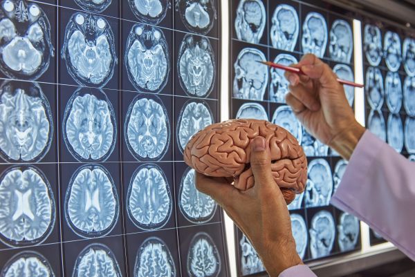 neurosurgery-2010