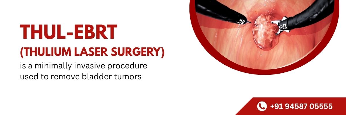 WhatsApp Image 2025-11-15 at 5.36.35 PM (1)