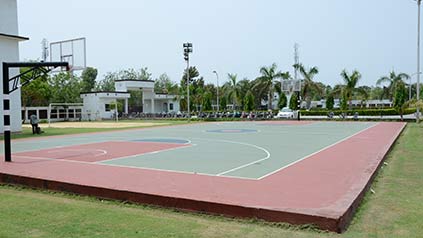 Leisure Basket Ball, Billiards, And Volleyball